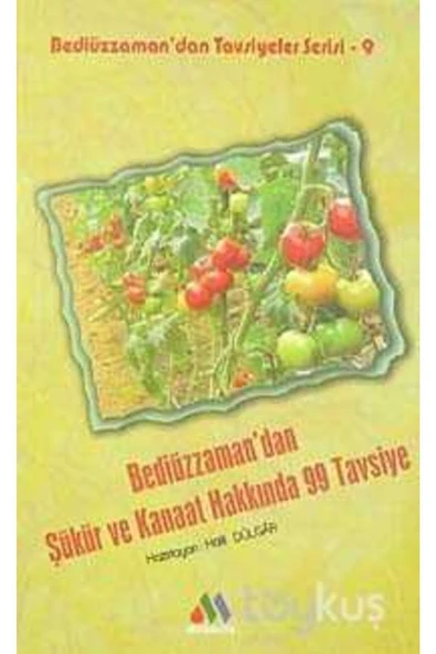 Bediüzzaman'dan Şükür Ve Kanaat Hakkında 99 Tavsiye