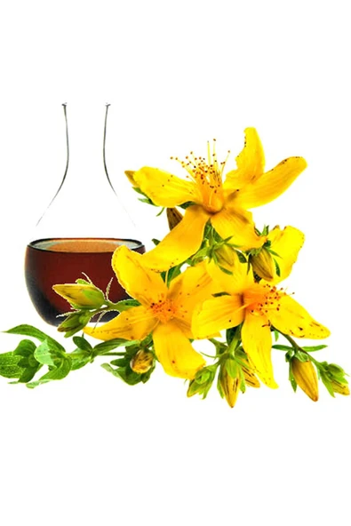 Sarı Kantaron Yağı (MASERASYON) 250 ml - 3