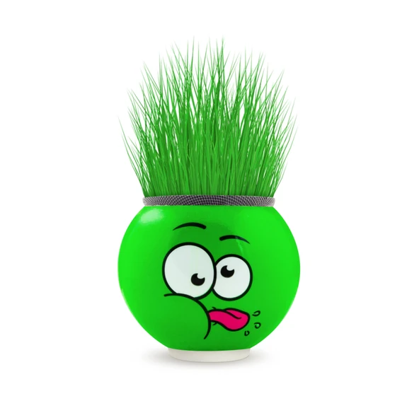 Emoji Şekilli Çim Adam Surat 1 Adet Okul Öncesi Sonrası Etkinlik - 3