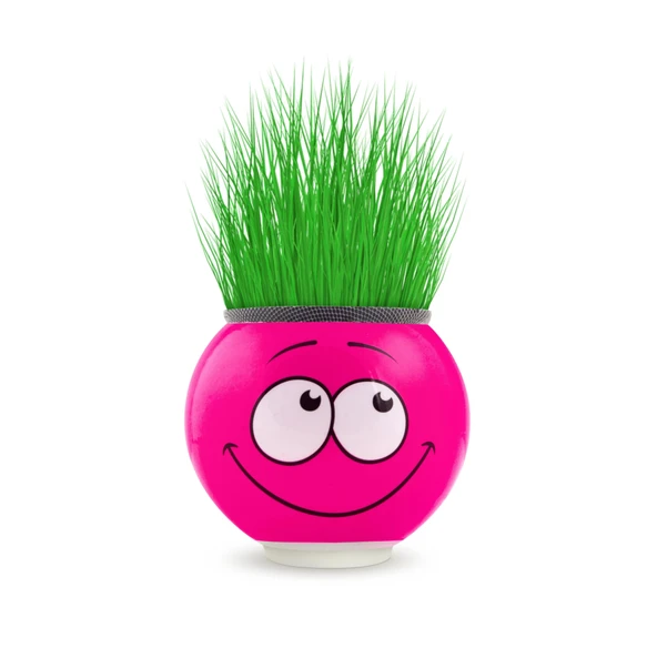 Emoji Şekilli Çim Adam Surat 1 Adet Okul Öncesi Sonrası Etkinlik - 9