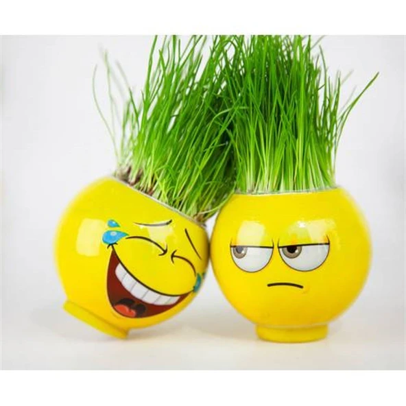 Emoji Şekilli Çim Adam 3 Adet Okul Öncesi Sonrası Etkinlik - 5