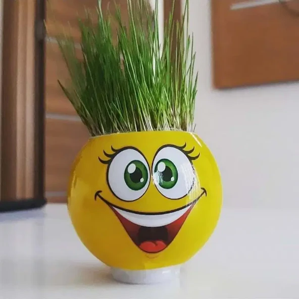 Emoji Şekilli Çim Adam Surat 2 Adet Okul Öncesi Sonrası Etkinlik - 7