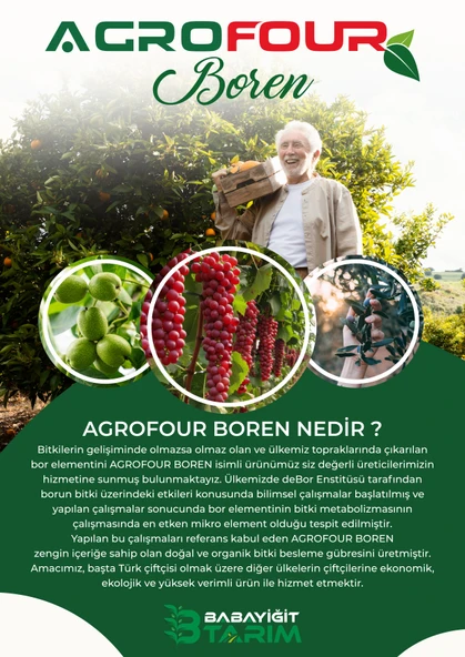 AGROFOUR BOREN SIVI BİTKİ GÜBRESİ 10 LT - 2