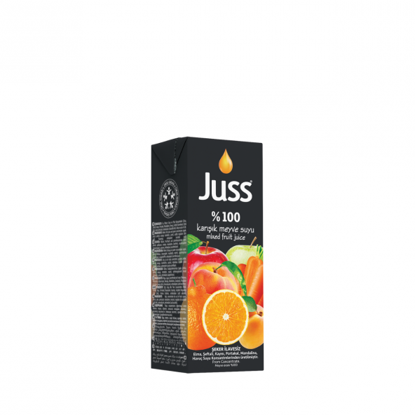 Juss Karışık Meyve Suyu 200 Ml
