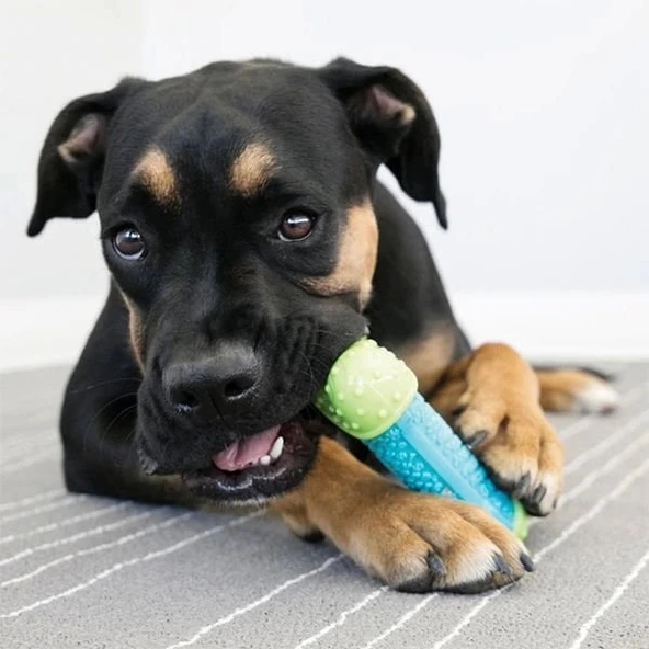 Kong Core Strength Köpek Çiğneme Oyuncağı 7 Cm - 3