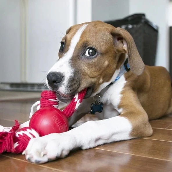 Kong İpli Top Köpek Oyuncağı Small 6.5 Cm - 2