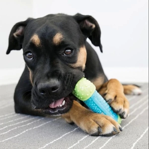 Kong Core Strength Köpek Çiğneme Oyuncağı 6 Cm - 3