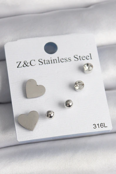 Gümüş Renk Zirkon Taşlı Kalpli Kadın Küpe Seti - EBJ250118W30641 ürün görseli