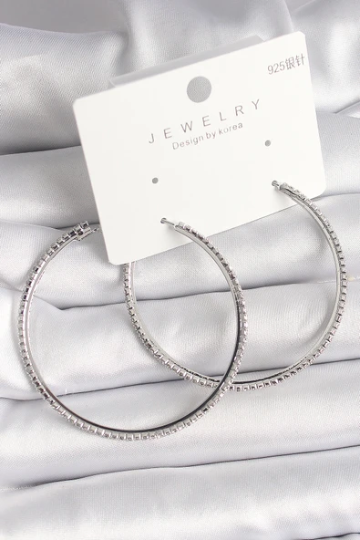 Pirinç Gümüş Renk Zirkon Taşlı Halka Model Kadın Küpe - EBJ250118W30653 ürün görseli