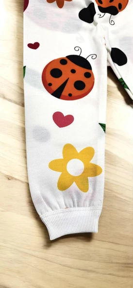 Uğur Böcekli Kız Bebek Pijama Takım - 7