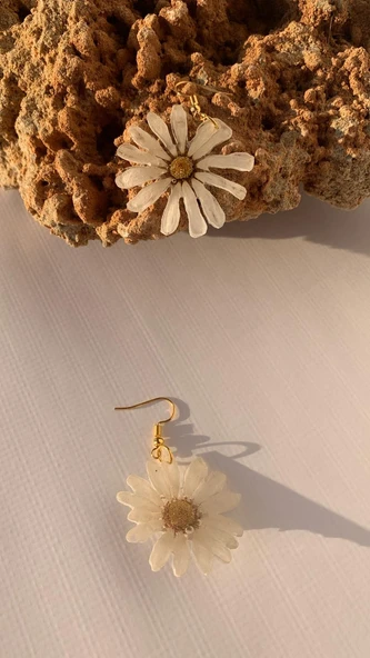 Kurutulmuş Beyaz Papatya İle Süslenmiş Papatya Şekil Gold Aksesuarlı Küpe Epoksi El Yapımı - Resim 5