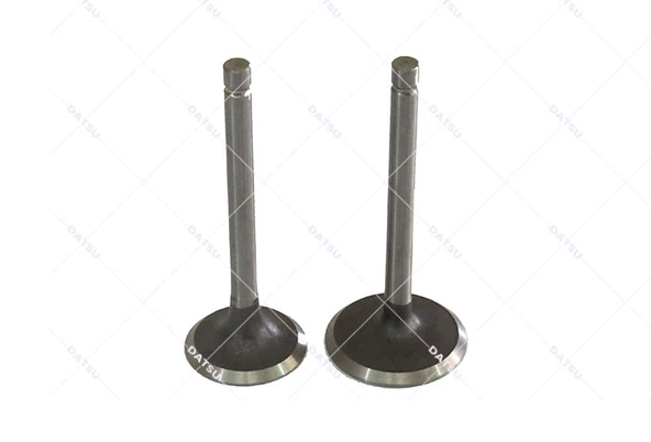 ÇİM BİÇME SUPAP TAKIMI EMME VE EGZOZ 154 DATSU ürün görseli