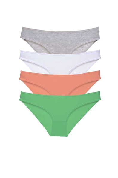 4 adet Süper Eko Set Likralı Kadın Slip Külot Gri Beyaz Pudra Yeşil ürün görseli 1