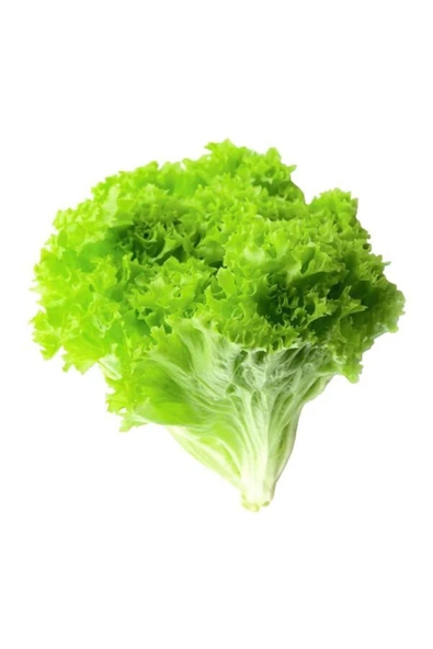 Yazlık Kıvırcık Marul Tohumu 10 Gr - Resim 2