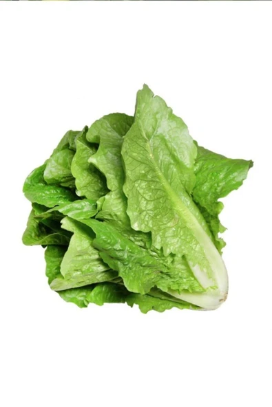 Yedikule Marul Tohumu 10 Gr ürün görseli