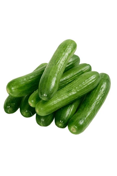 Hıyar Tohumu 20 Gr ürün görseli