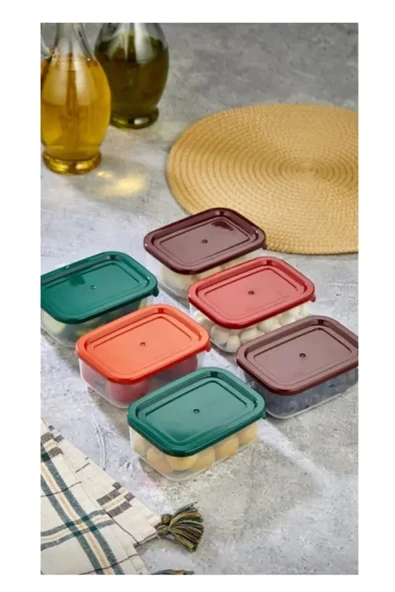4'lü Kapaklı Saklama Kabı Çerezlik Kahvaltılık Piknik Kabı HS-017 - Resim 2