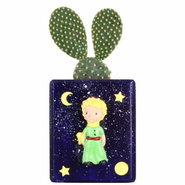 Küçük Prens Saksı Lacivert