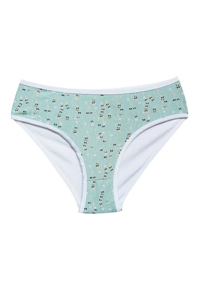 Pamuklu Geniş Kenarlı Likralı Desenli Bato Kadın Külot 5'li Paket Set 2 - Resim 3