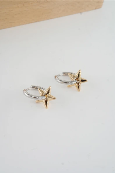 Kadın Vip Seri  316 L Çelik Antialerjik 2.5 cm Yıldız Model Küpe - Resim 2