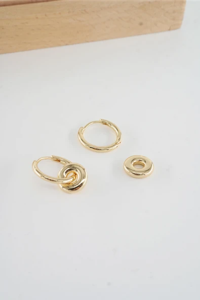 Kadın Vip Seri  316 L Çelik Antialerjik 2.5 cm Oval Model Küpe - Resim 2