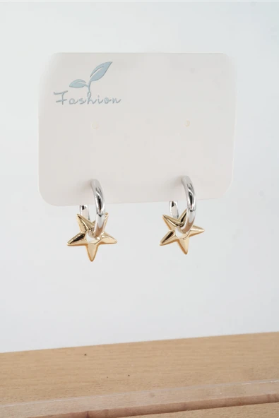 Kadın Vip Seri  316 L Çelik Antialerjik 2.5 cm Yıldız Model Küpe ürün görseli