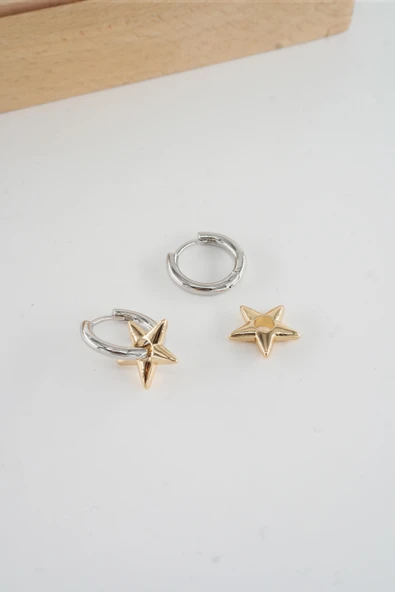 Kadın Vip Seri  316 L Çelik Antialerjik 2.5 cm Yıldız Model Küpe - Resim 3