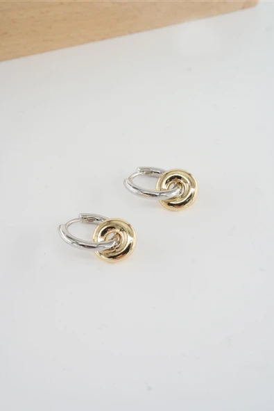 Kadın Vip Seri  316 L Çelik Antialerjik 2.5 cm Oval Model Küpe - Resim 3