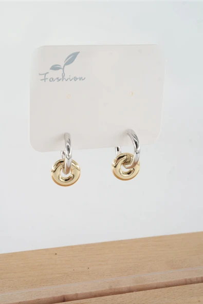 Kadın Vip Seri  316 L Çelik Antialerjik 2.5 cm Oval Model Küpe ürün görseli