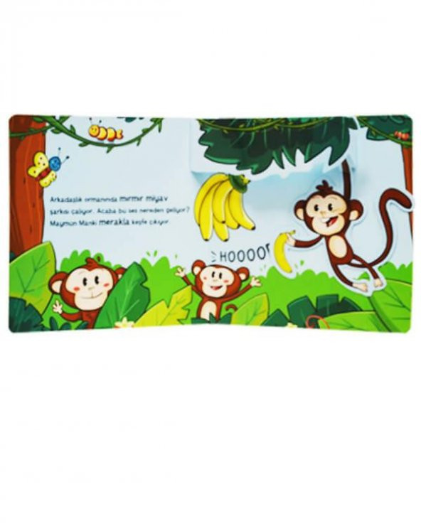 Pop Up ile Keşfet Arkadaşlık Ormanı - Resim 2