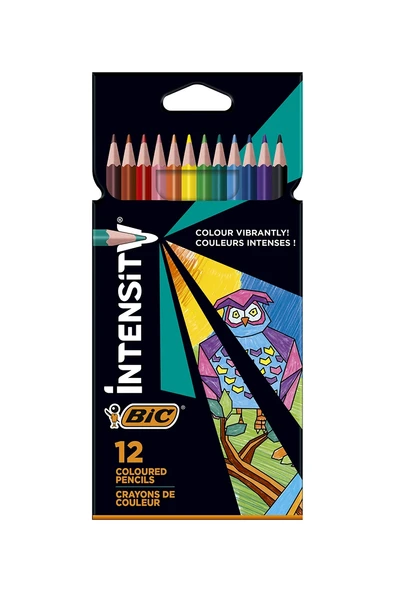 Bic İntensity 12'li Üçgen Kuru Boya Kalemi ürün görseli
