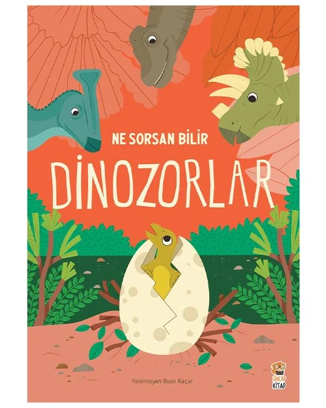 Ne Sorsan Bilir Minik - Benim İlk Dinozorlar Kitabım ürün görseli