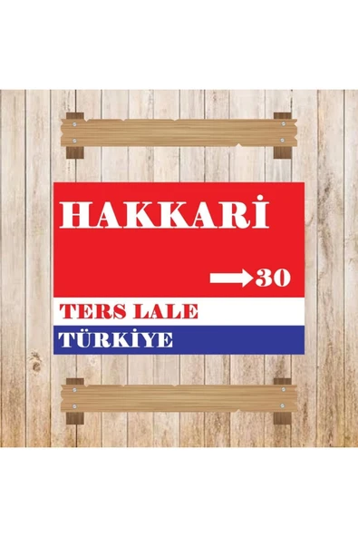 DURUSOY Ahşap Retro Mdf Poster , Komik Sözler , Duvar Yazıları , Manzara ,  Tarih , Edebiyat - Tbl0512 - 3