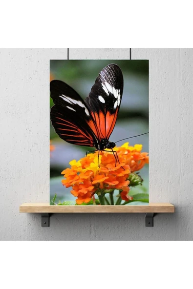 DURUSOY Ahşap Retro Mdf Poster , Komik Sözler , Duvar Yazıları , Manzara ,  Tarih , Edebiyat - Tbl0138 - Resim 3