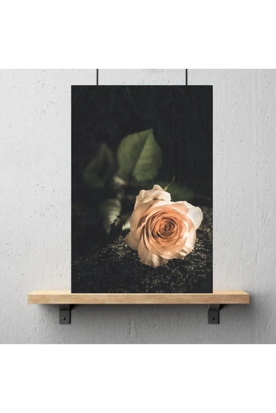 DURUSOY Ahşap Retro Mdf Poster , Komik Sözler , Duvar Yazıları , Manzara ,  Tarih , Edebiyat - Tbl214 - Resim 3