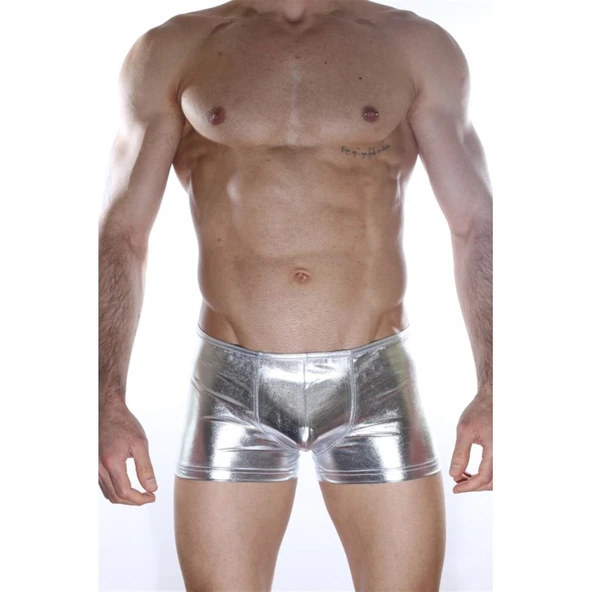 Arkası Fermuarlı Boxer - Resim 4