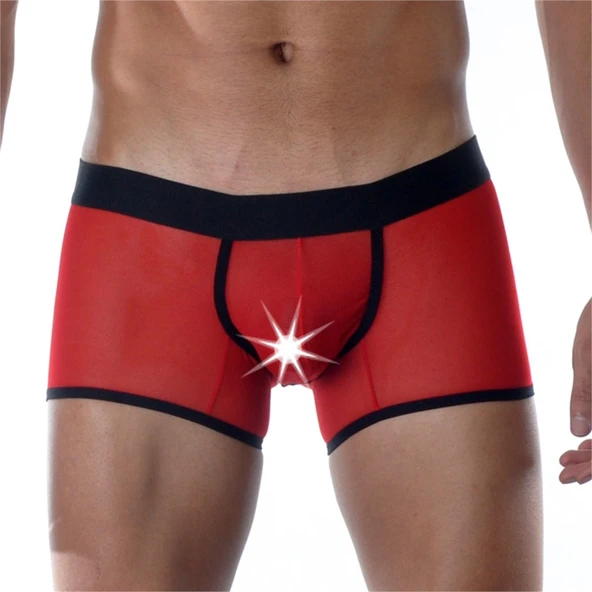 Kırmızı Erkek Boxer ürün görseli