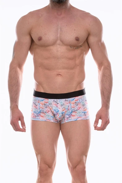 Beruflic Erkek Desenli Boxer - Resim 3