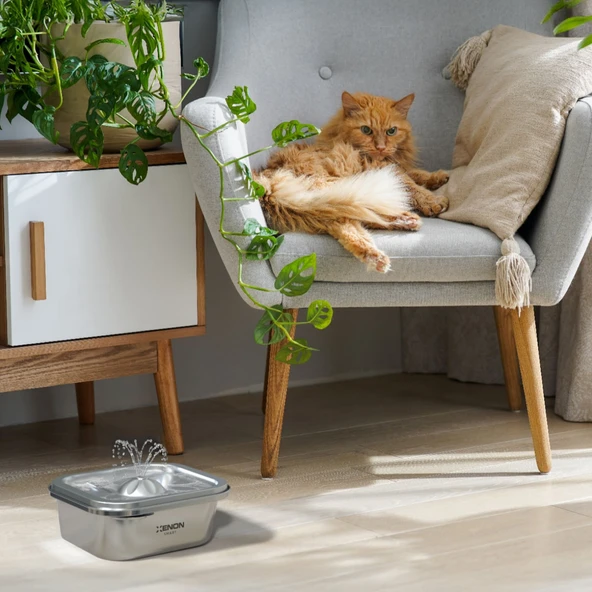 Kameralı Akıllı Kedi Mama Kabı, Sessiz Otomatik Çelik Su Pınarı ve Filtre Seti - 3