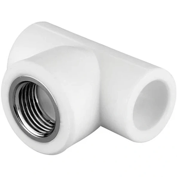 Pprc Dişi TE 20x1/2 ürün görseli 1