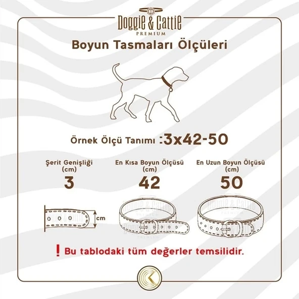 Doggie Comfort Deri Çivili Köpek Boyun Tasması Large Kırmızı 3.5x52-60 Cm - 5