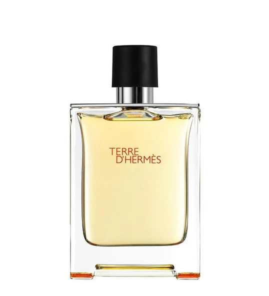 Hermes Terre DHermes Edt 100 ml Erkek Parfüm