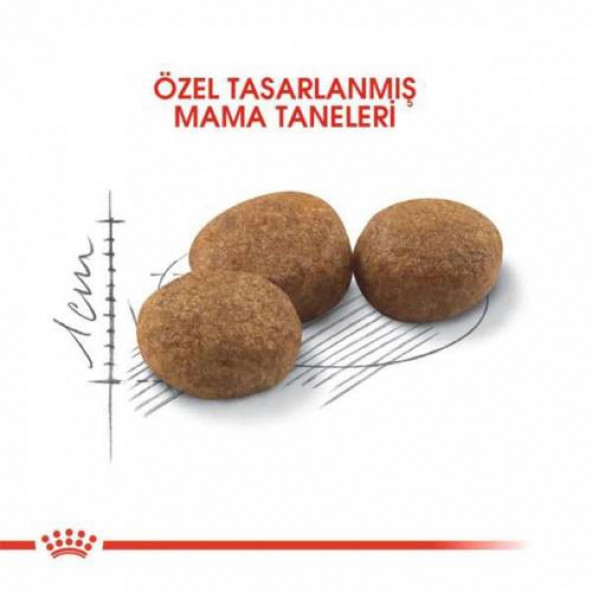 Royal canin sterilised 37 kısırlaştırılmış kedi maması 2 KG AÇIK MAMA KÜREK HEDİYELİ - 3