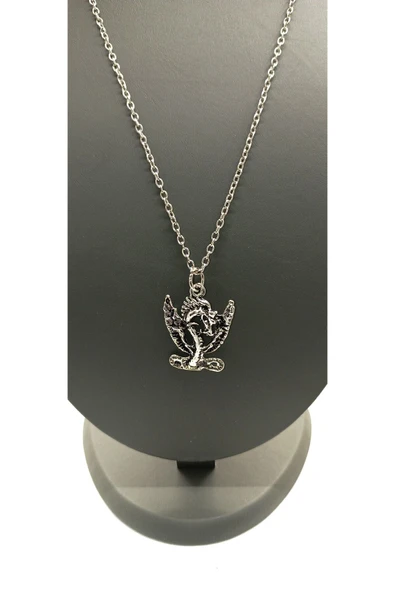 UNİSEX GÜMÜŞ KAPLAMALI ZİNCİR KOLYE ürün görseli 1