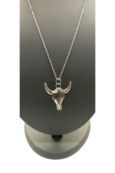 UNİSEX GÜMÜŞ KAPLAMALI ZİNCİR KOLYE ürün görseli 1