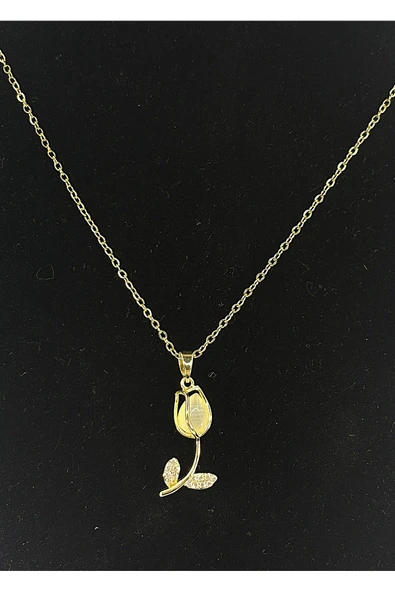 KADIN ÇELİK KOLYE ürün görseli 1