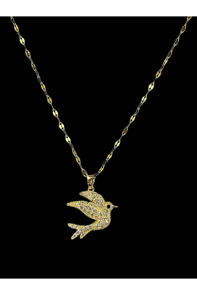 KADIN ÇELİK KOLYE ürün görseli 1