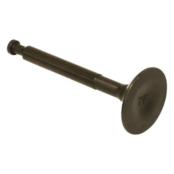 BENZİNLİ MOTOR SUPAP EMME PALMERA PA15T 1.5HP - Resim 3