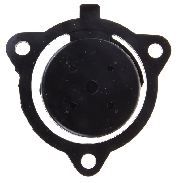 SU MOTORU KLEPE 2" 250T VETA ürün görseli