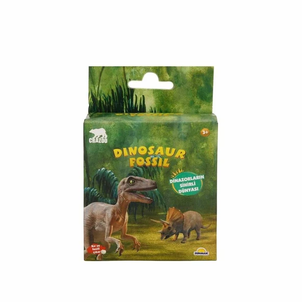 Fosil Kazı Seti Dinozor - 6